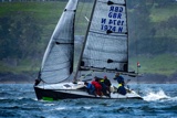 sx panther gbr1974n whyw25 750_3998